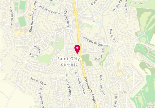 Plan de CIC, 4 avenue du Clapas, 34980 Saint-Gély-du-Fesc