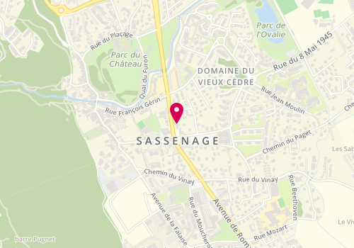 Plan de Sassenage, 6 Bis place de la Libération, 38360 Sassenage