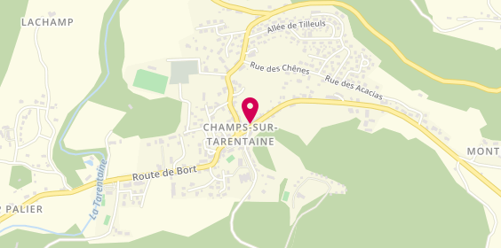 Plan de Crédit Agricole Centre France - Champs sur Tarentaine, 1 Route de Sarran, 15270 Champs-sur-Tarentaine-Marchal
