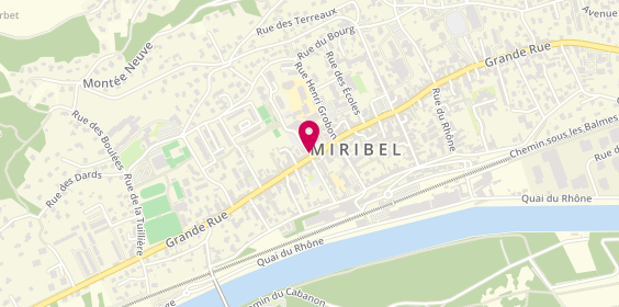 Plan de Miribel, 161 Rue Général Degoutte, 01700 Miribel