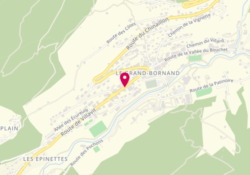 Plan de Grand Bornand, 211 Route de Villavit, 74450 Le Grand-Bornand