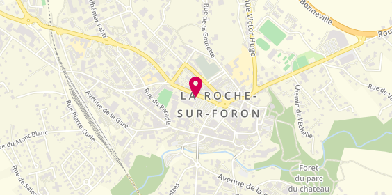 Plan de Caisse d'Epargne la Roche sur Foron, 113 avenue Jean Jaurès, 74800 La Roche-sur-Foron