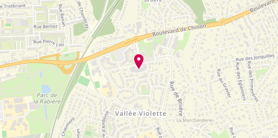 Plan de Caisse d'Epargne (Agence de Joue- Vallee Violette), 33 Rue de Chenonceaux, 37300 Joué-lès-Tours