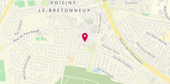 Plan de Caisse d'Epargne Voisins-le-Bretonneux, Centre Commercial Chamfleury, 78960 Voisins-le-Bretonneux